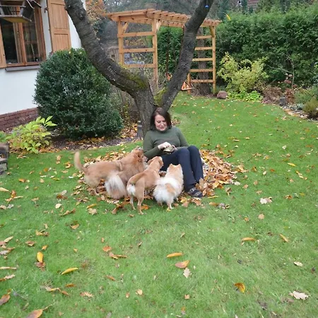 Danusia Accommodatie bij particulieren