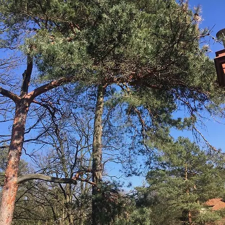 Danusia Accommodatie bij particulieren *