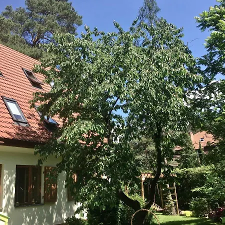 Danusia