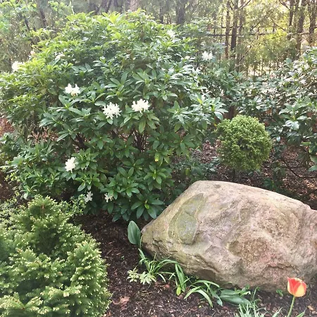 Accommodatie bij particulieren Danusia Milanowek